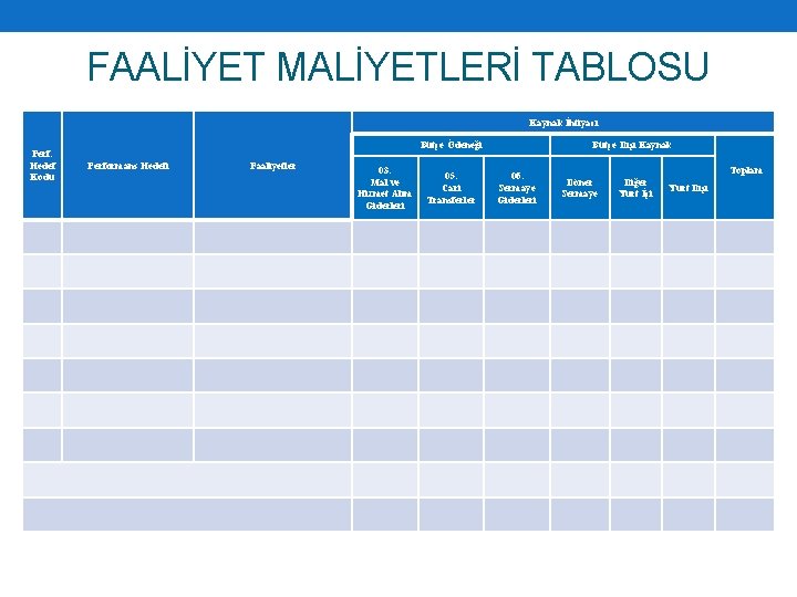 FAALİYET MALİYETLERİ TABLOSU Kaynak İhtiyacı Perf. Hedef Kodu Bütçe Ödeneği Performans Hedefi Faaliyetler 03.