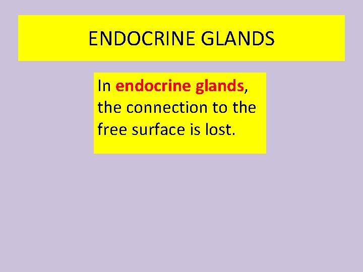ENDOCRINE GLANDS In endocrine glands, the connection to the free surface is lost. 