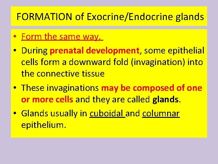 FORMATION of Exocrine/Endocrine glands • Form the same way. • During prenatal development, some