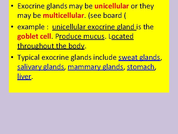  • Exocrine glands may be unicellular or they may be multicellular. (see board