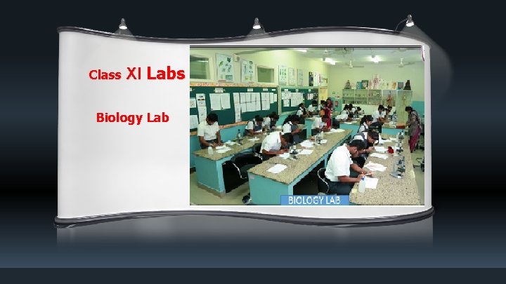 Class XI Labs Biology Lab 