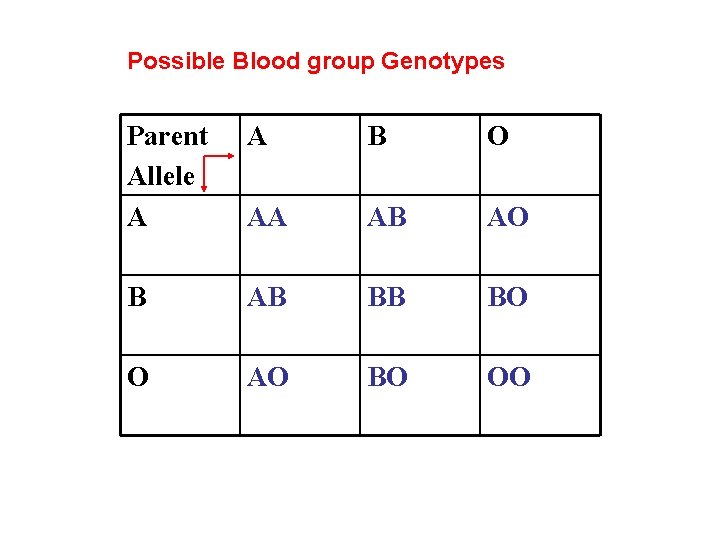 Possible Blood group Genotypes Parent Allele A A B O AA AB AO B