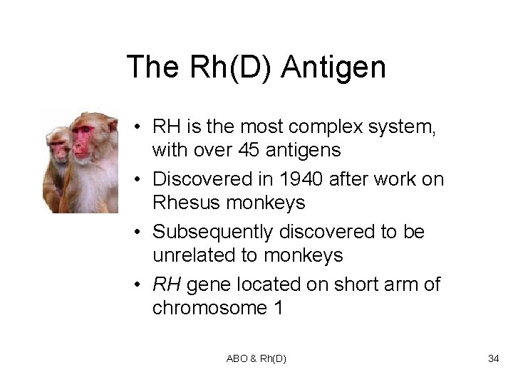 The Rh(D) Antigen • RH is the most complex system, with over 45 antigens