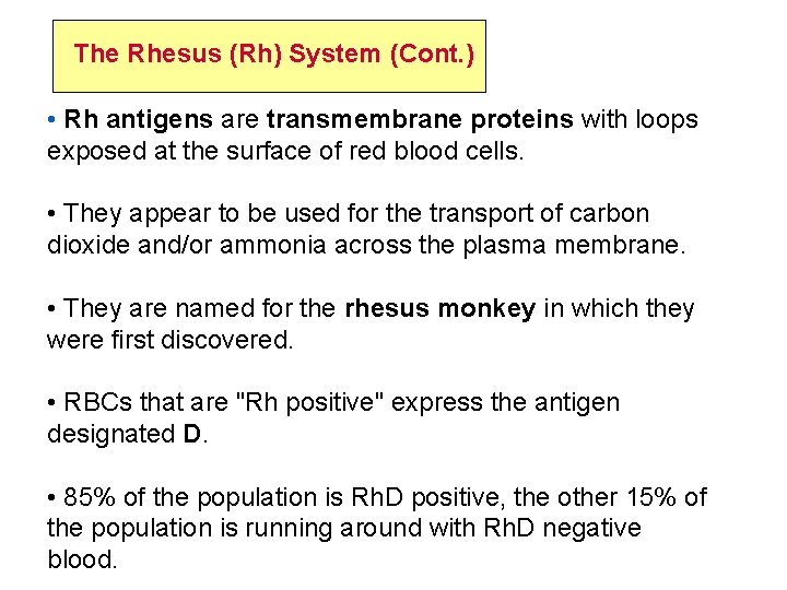 The Rhesus (Rh) System (Cont. ) • Rh antigens are transmembrane proteins with loops