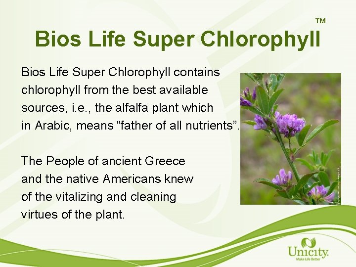 TM Bios Life Super Chlorophyll contains chlorophyll from the best available sources, i. e.