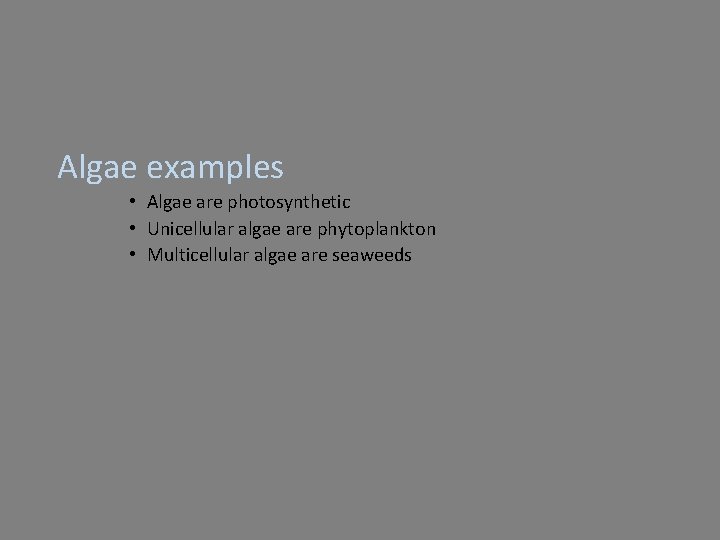 Algae examples • Algae are photosynthetic • Unicellular algae are phytoplankton • Multicellular algae