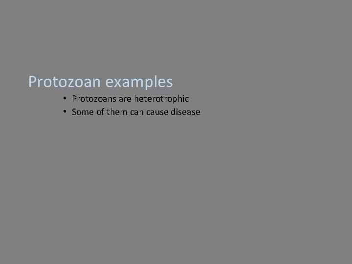 Protozoan examples • Protozoans are heterotrophic • Some of them can cause disease 