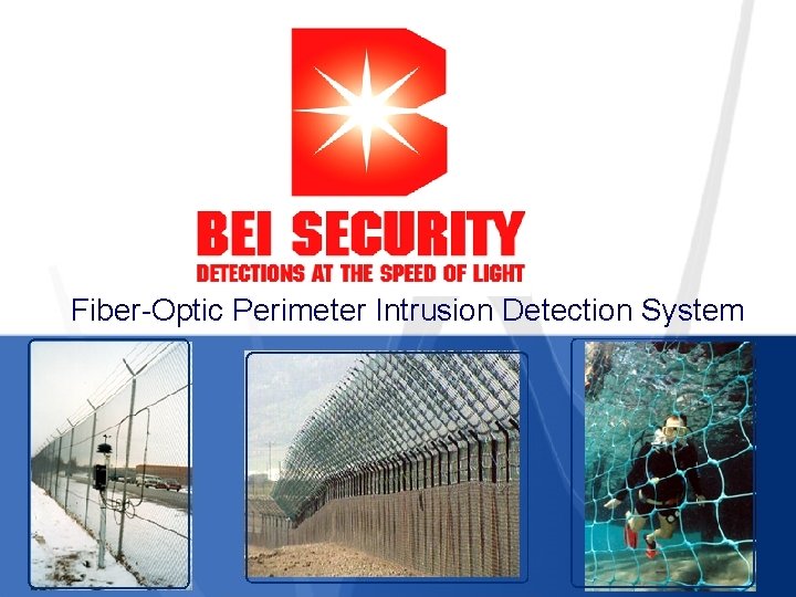 Fiber-Optic Perimeter Intrusion Detection System 