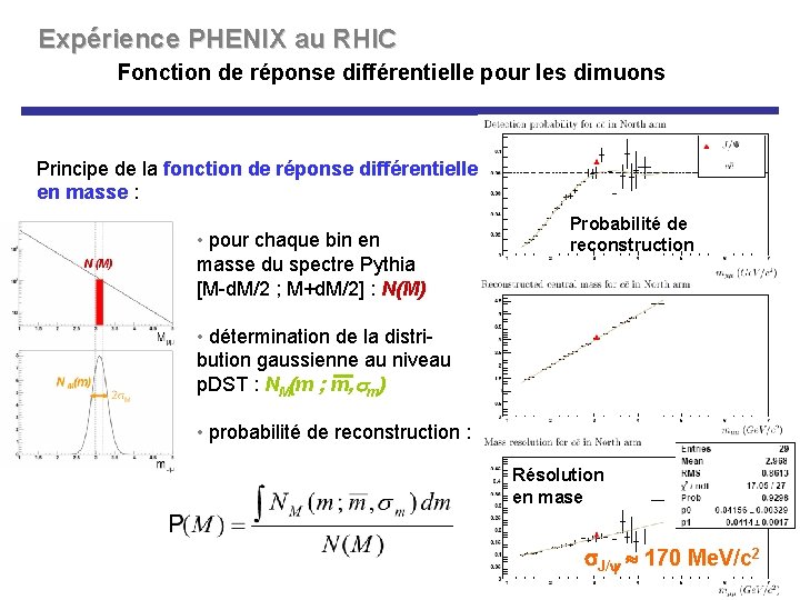 Expérience PHENIX au RHIC Fonction de réponse différentielle pour les dimuons Principe de la