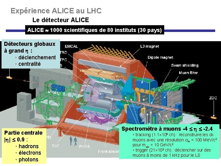 Expérience ALICE au LHC Le détecteur ALICE 1000 scientifiques de 80 instituts (30 pays)