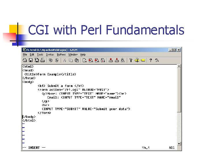CGI with Perl Fundamentals 