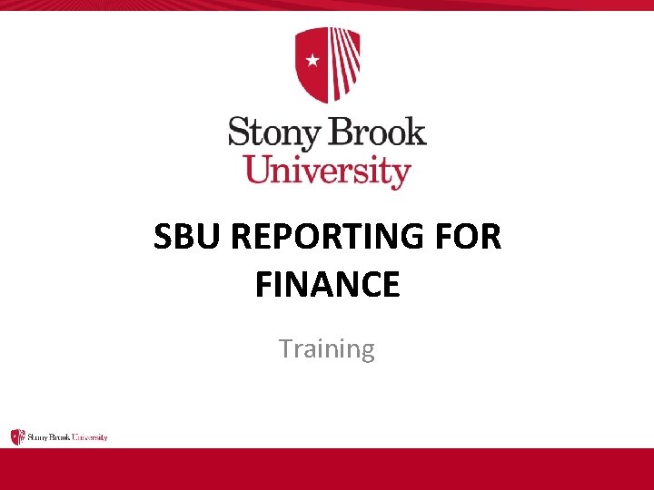 sbu reporting for finance training introduction sbu reporting