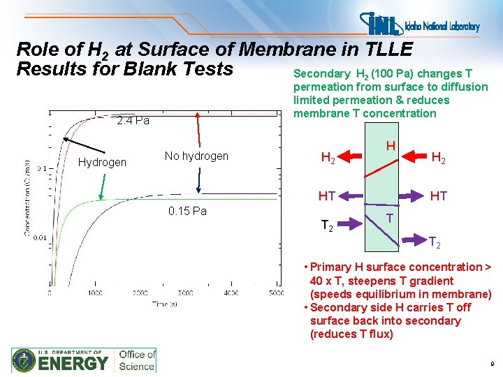 Role of H 2 at Surface of Membrane in TLLE Results for Blank Tests