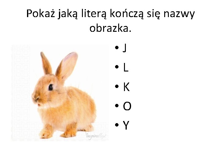 Pokaż jaką literą kończą się nazwy obrazka. • J • L • K •