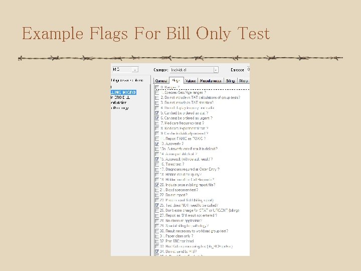 Example Flags For Bill Only Test 