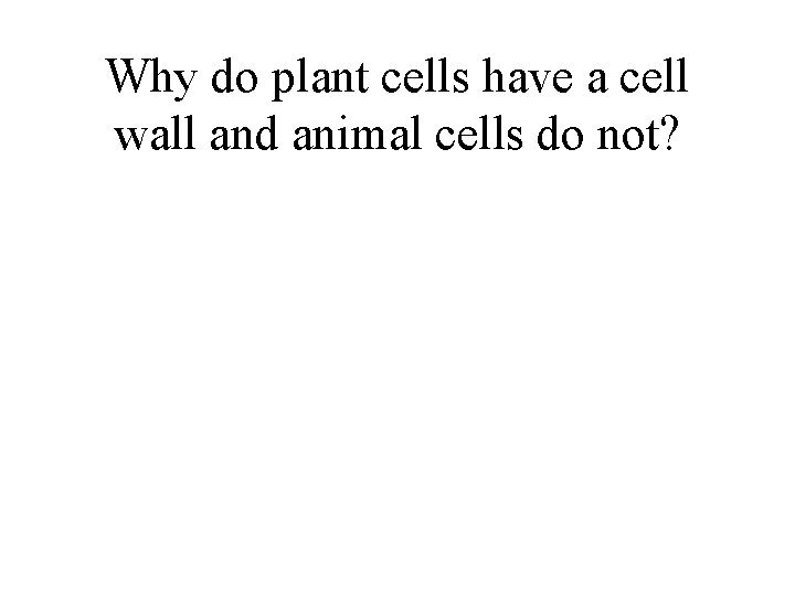 Why do plant cells have a cell wall and animal cells do not? 