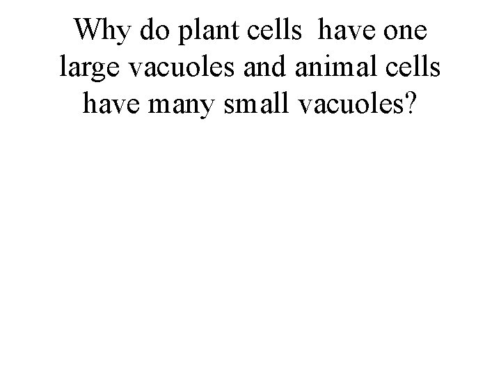 Why do plant cells have one large vacuoles and animal cells have many small