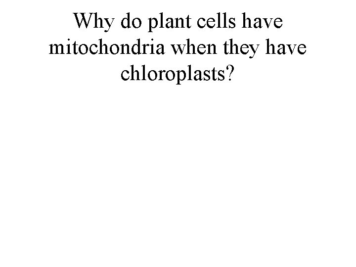 Why do plant cells have mitochondria when they have chloroplasts? 