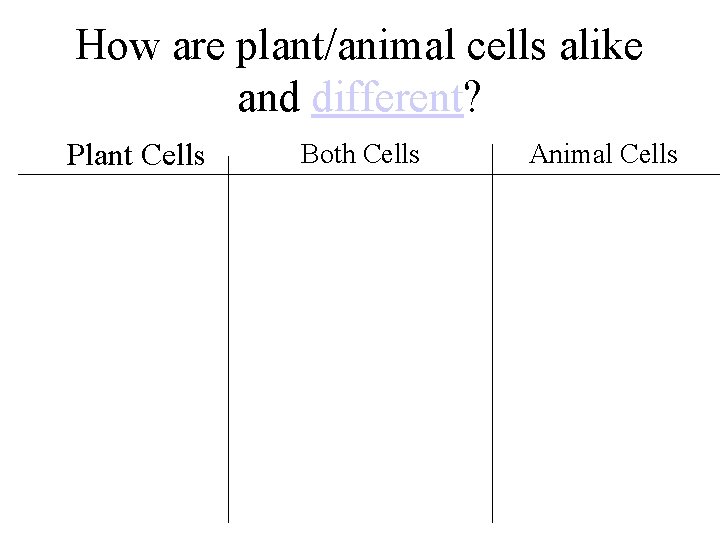 How are plant/animal cells alike and different? Plant Cells Both Cells Animal Cells 