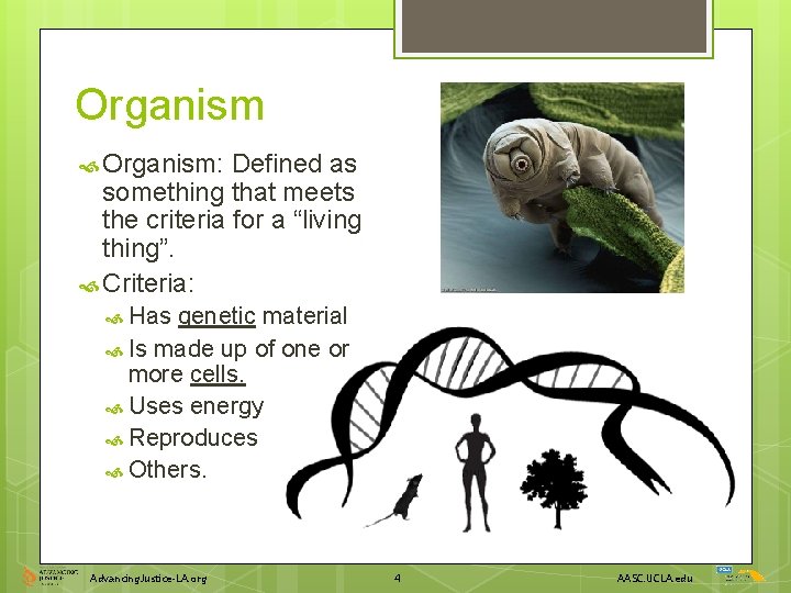 Organism Organism: Defined as something that meets the criteria for a “living thing”. Criteria: