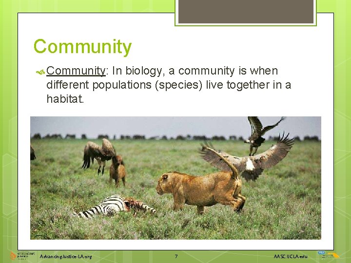 Community Community: In biology, a community is when different populations (species) live together in