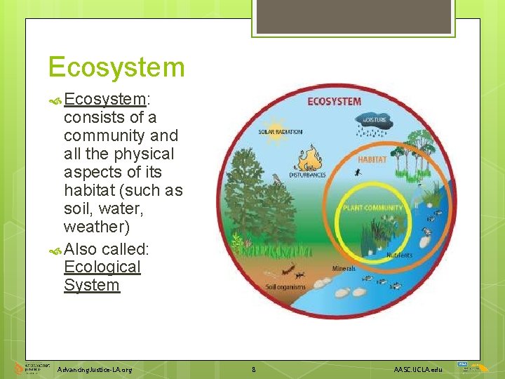 Ecosystem Ecosystem: consists of a community and all the physical aspects of its habitat