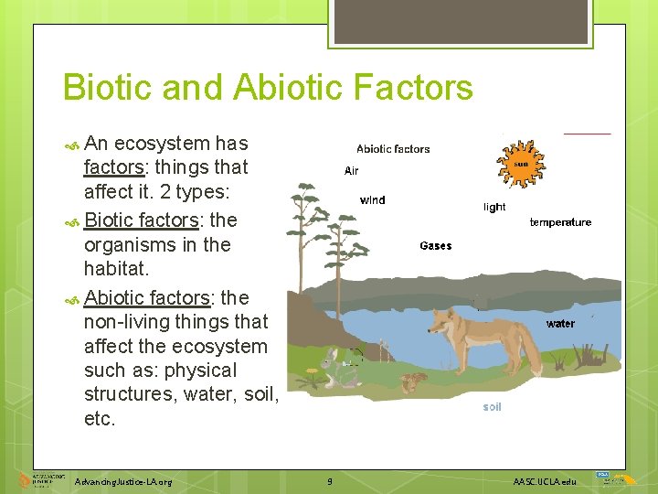Biotic and Abiotic Factors An ecosystem has factors: things that affect it. 2 types:
