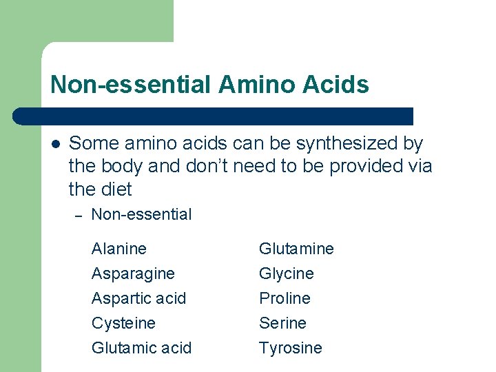 Non-essential Amino Acids l Some amino acids can be synthesized by the body and