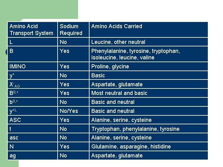 Amino Acid Transport System Sodium Required Amino Acids Carried L No Leucine, other neutral