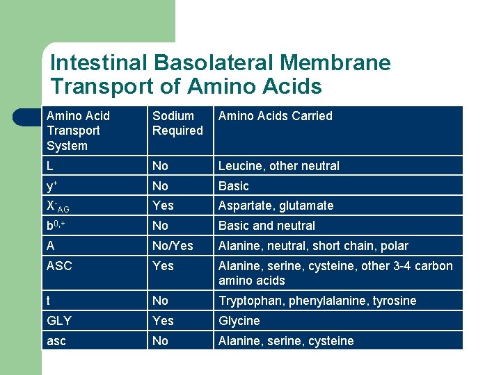 Intestinal Basolateral Membrane Transport of Amino Acids Amino Acid Transport System Sodium Required Amino