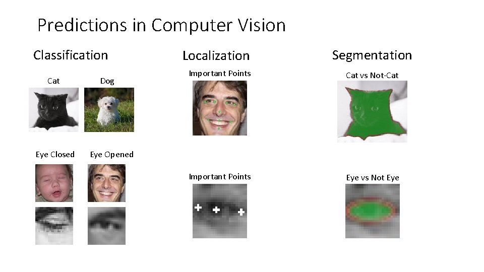 Predictions in Computer Vision Classification Cat Eye Closed Dog Localization Segmentation Important Points Cat