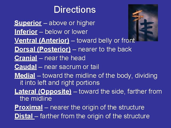 Directions Superior – above or higher Inferior – below or lower Ventral (Anterior) –