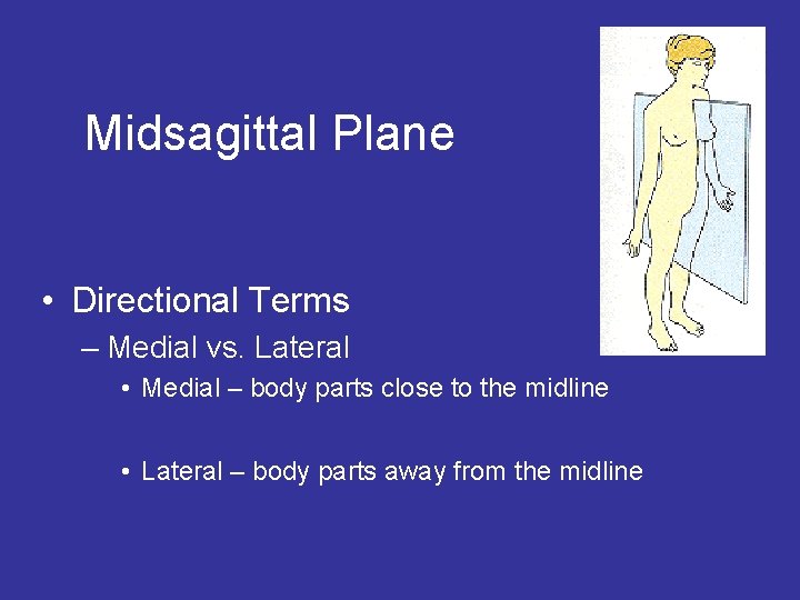 Midsagittal Plane • Directional Terms – Medial vs. Lateral • Medial – body parts