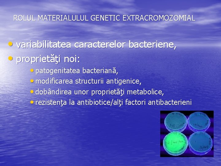 ROLUL MATERIALULUL GENETIC EXTRACROMOZOMIAL • variabilitatea caracterelor bacteriene, • proprietăţi noi: • patogenitatea bacteriană,