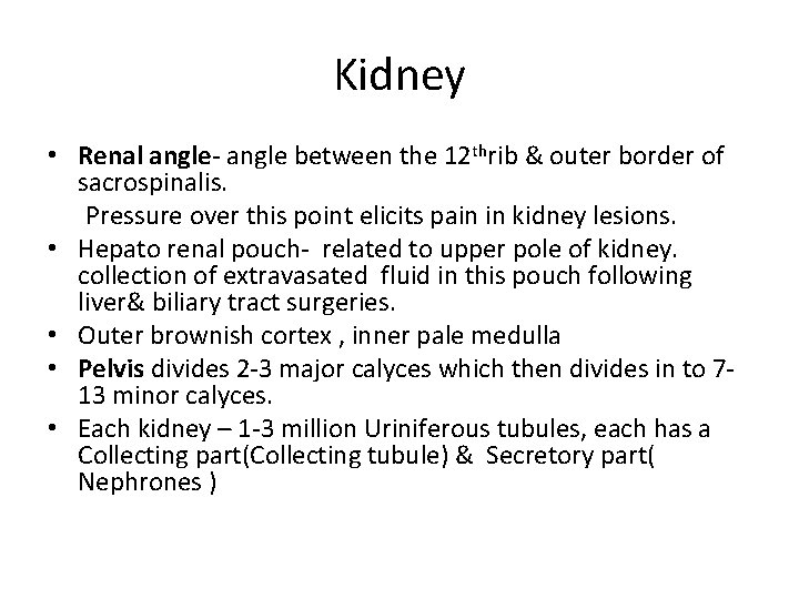 Kidney • Renal angle- angle between the 12 thrib & outer border of sacrospinalis.