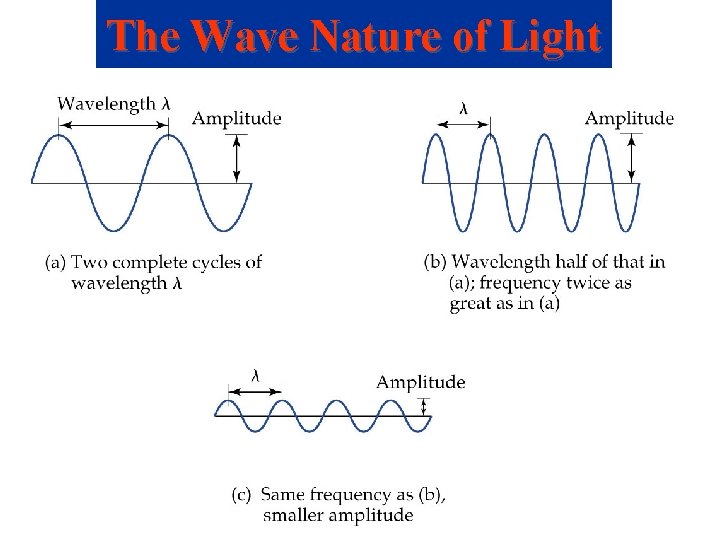 The Wave Nature of Light 