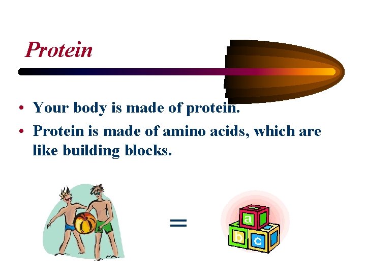 Protein • Your body is made of protein. • Protein is made of amino