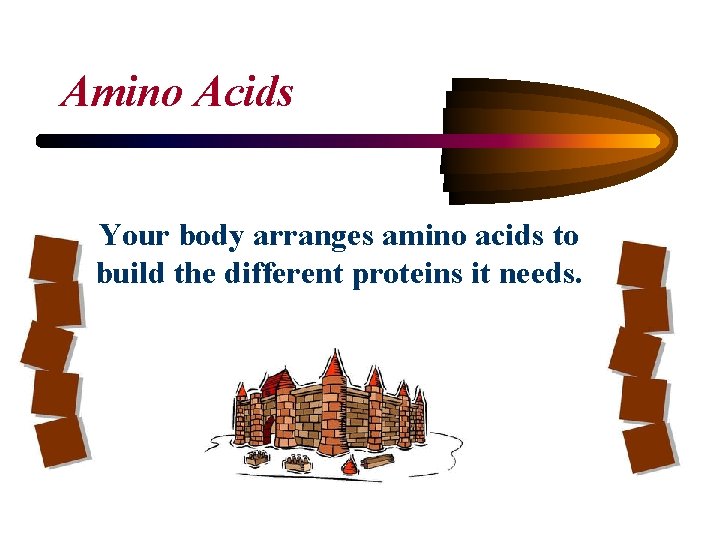 Amino Acids Your body arranges amino acids to build the different proteins it needs.