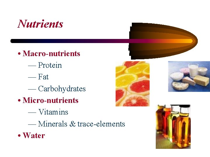 Nutrients • Macro-nutrients — Protein — Fat — Carbohydrates • Micro-nutrients — Vitamins —