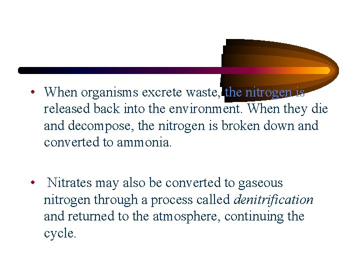  • When organisms excrete waste, the nitrogen is released back into the environment.