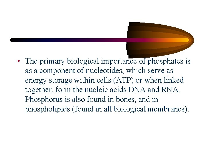  • The primary biological importance of phosphates is as a component of nucleotides,