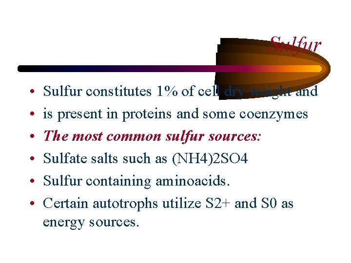 Sulfur • • • Sulfur constitutes 1% of cell dry weight and is present