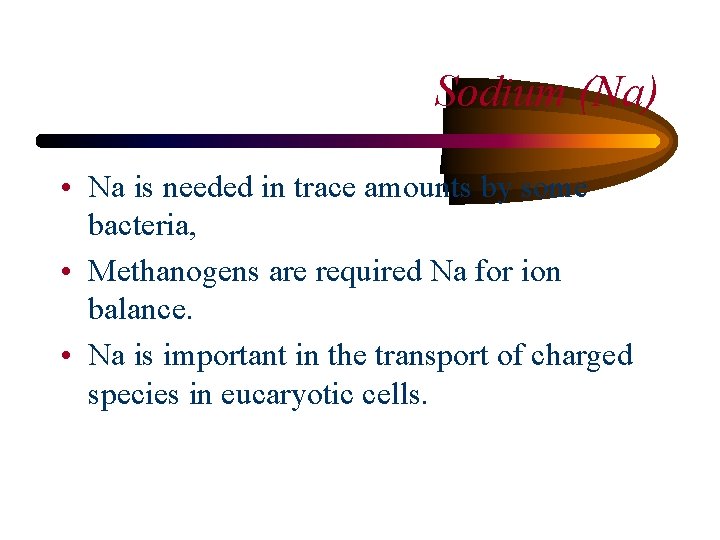 Sodium (Na) • Na is needed in trace amounts by some bacteria, • Methanogens