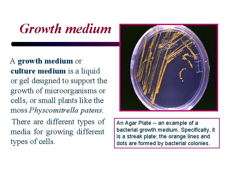 Growth medium A growth medium or culture medium is a liquid or gel designed