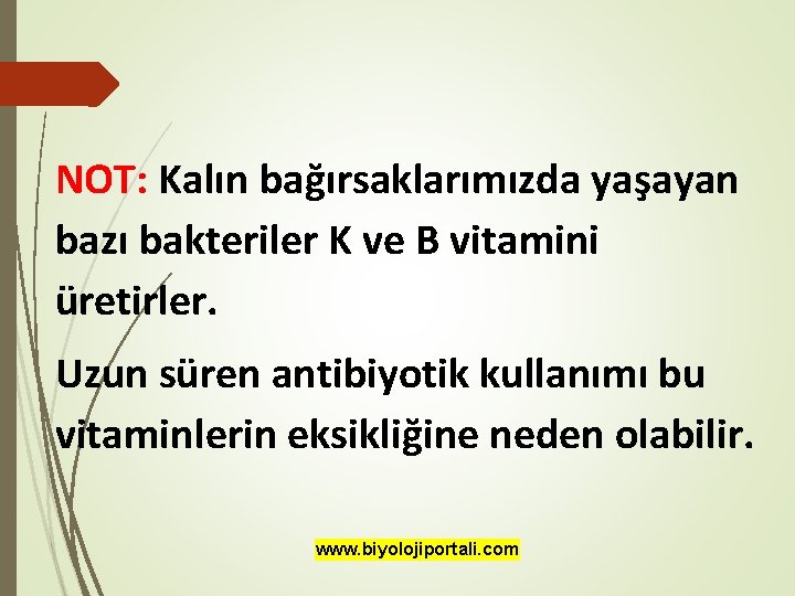 NOT: Kalın bağırsaklarımızda yaşayan bazı bakteriler K ve B vitamini üretirler. Uzun süren antibiyotik