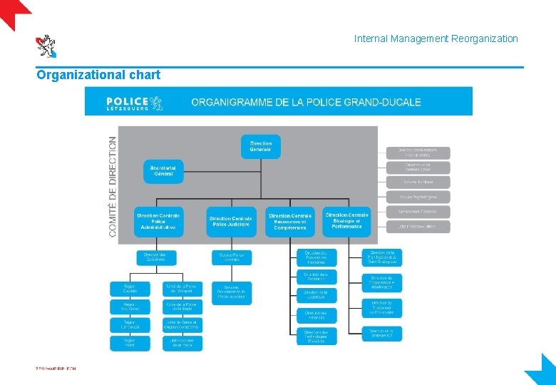 Internal Management Reorganization Organizational chart 