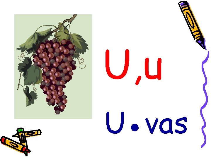 U, u U●vas 