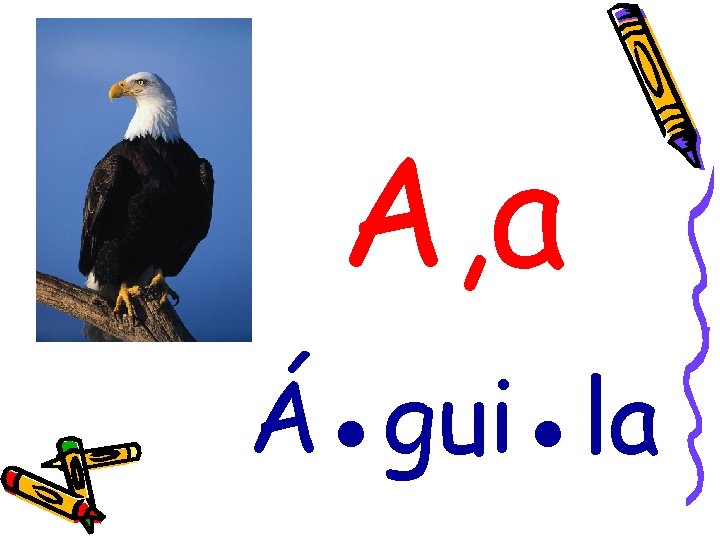 A, a Á●gui●la 