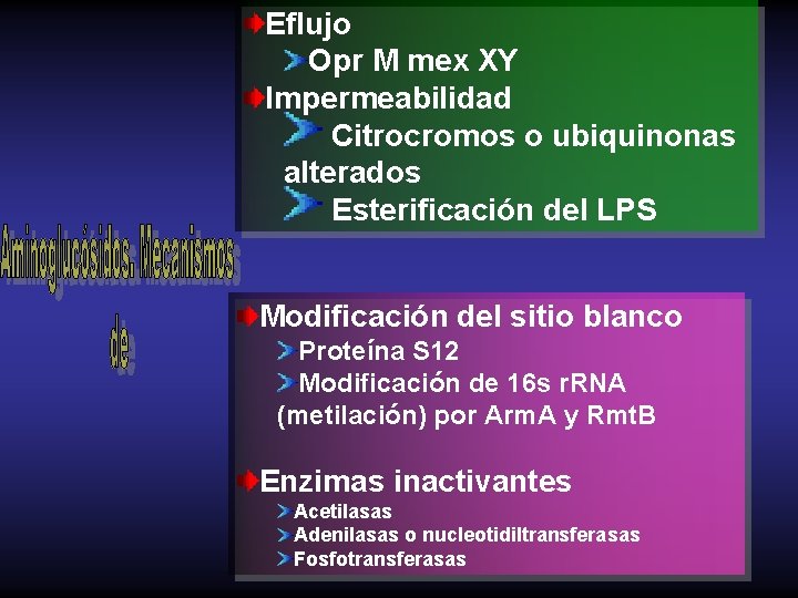 Eflujo Opr M mex XY Impermeabilidad Citrocromos o ubiquinonas alterados Esterificación del LPS Modificación