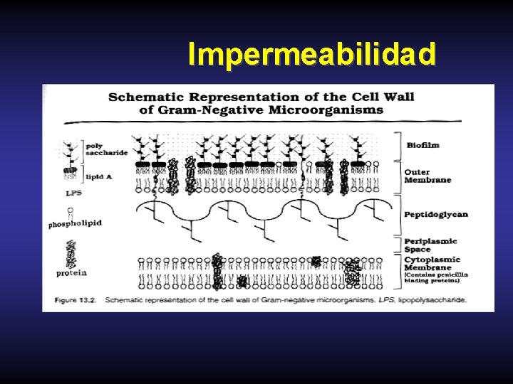 Impermeabilidad 